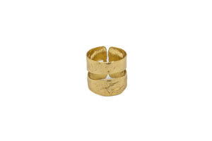 Anello a Fascia Doppia