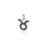 Charm Segni Zodiacali
