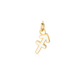 Charm Segni Zodiacali Oro